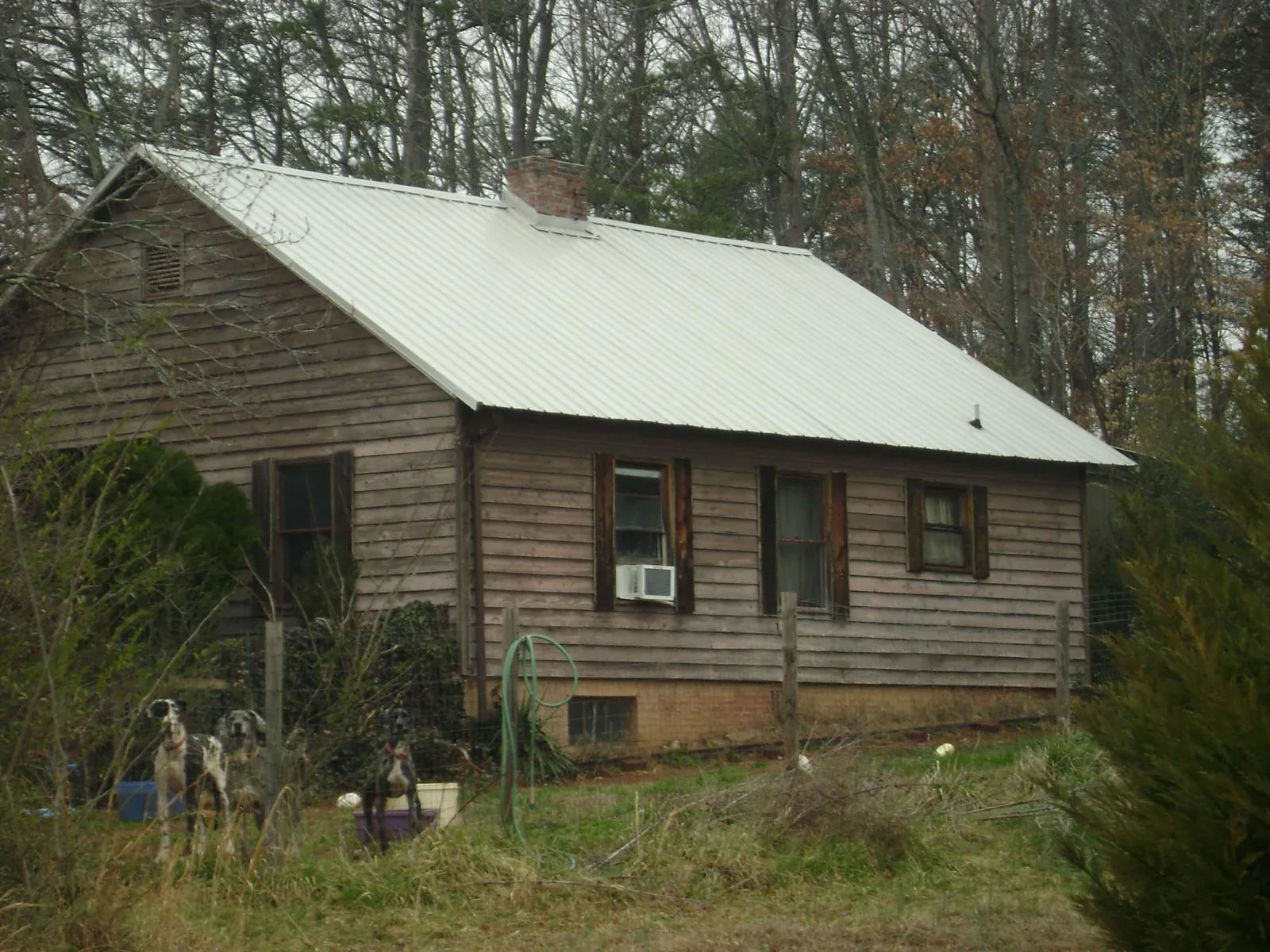 White metal roof on an old wood sided farmhouse, from a Asphalt Shingle Roof Repair job in Colmar